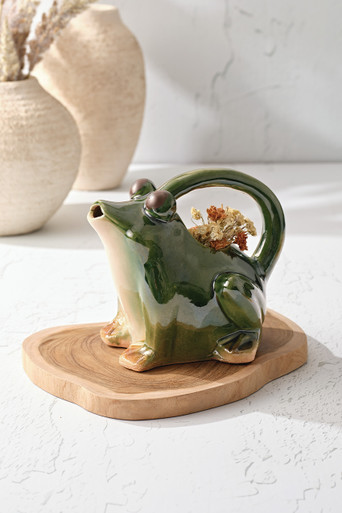 Stoneware Frog Watering Can